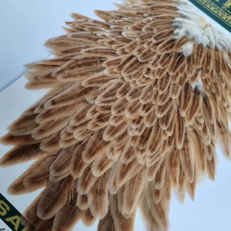 Whiting Hebert Miner Hen Saddle in Medium Ginger-4